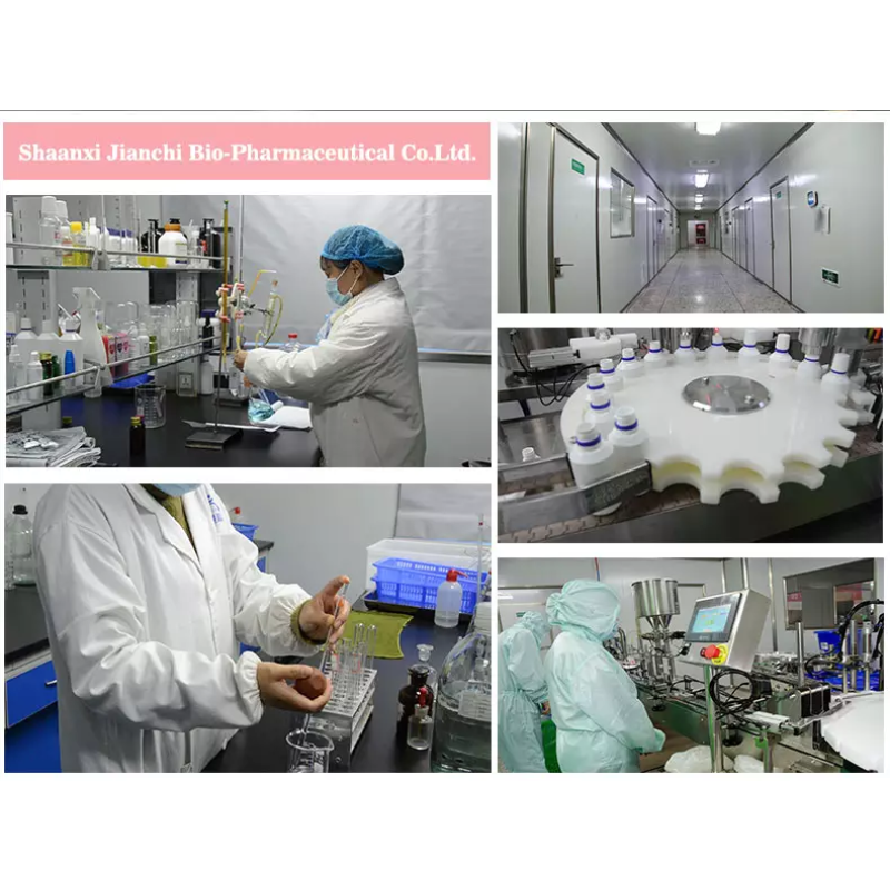 Moringa Drops Manufacturer - OEM ODM Leaf Extract Drops Supplement