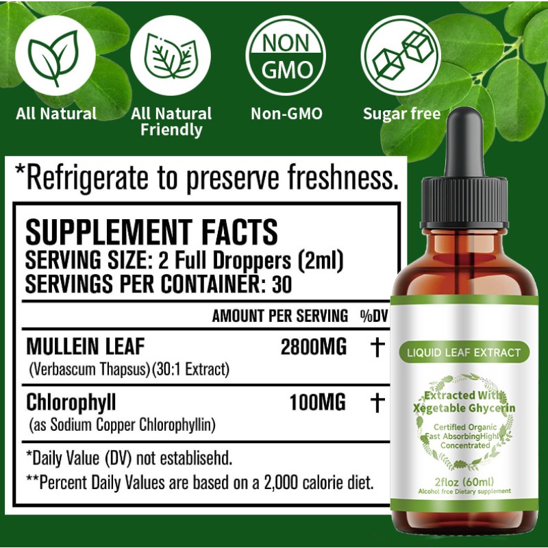 Moringa Drops Factory - OEM ODM Private Label Leaf Extract Supplements