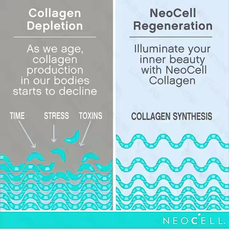 Herbal Tea Manufacturer - 100% Natural Maca Wolfberry Improve Metabolism