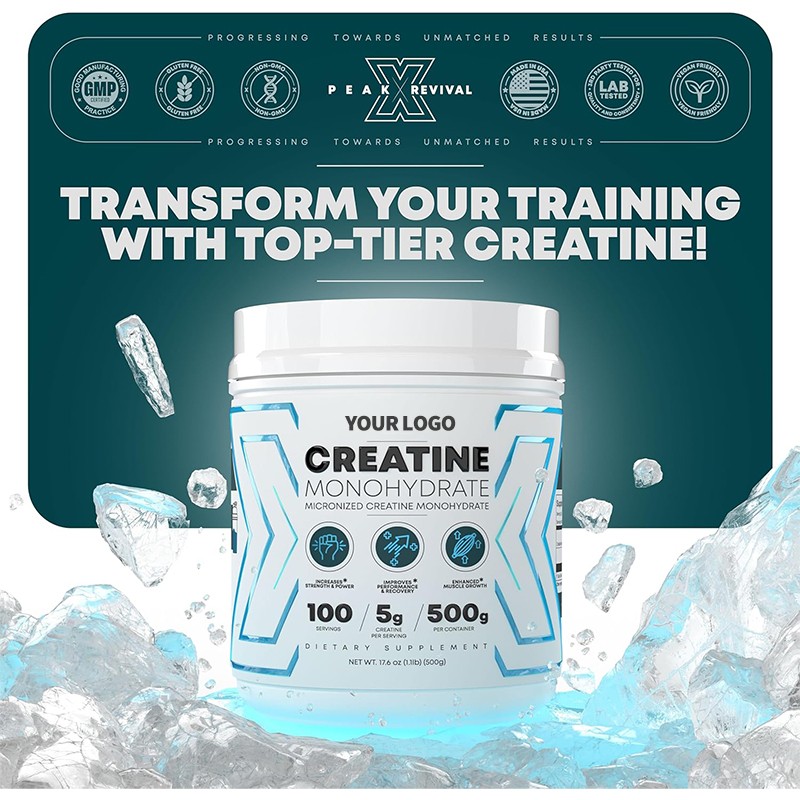 Creatine Powder Supplier - OEM Private Labels 500g 200 Mesh Pure