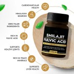 Shilajit Naturel