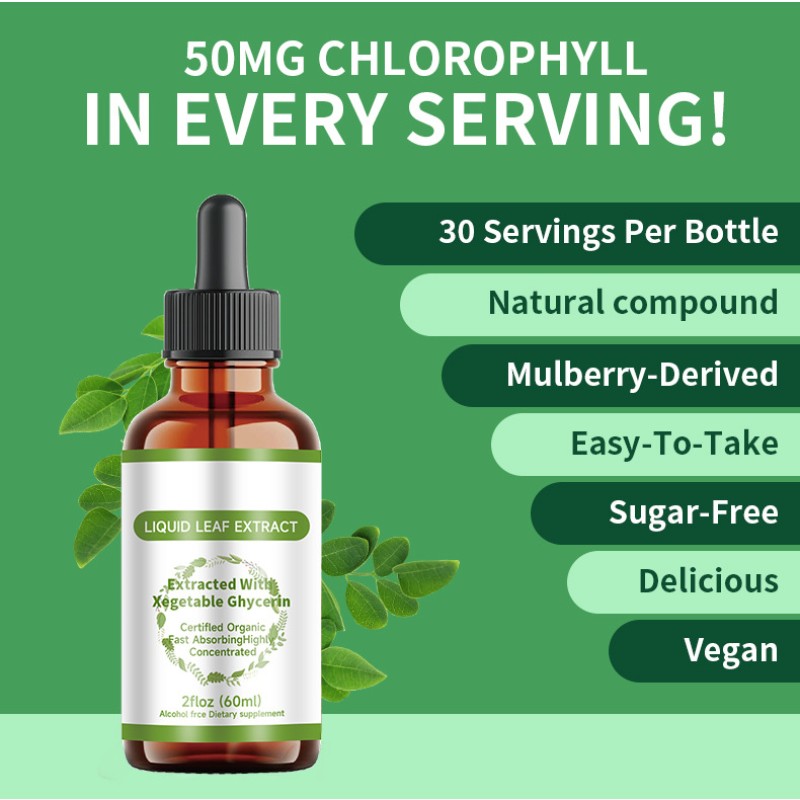 Moringa Drops Factory - OEM ODM Healthy Energy Boost Vegan Supplements