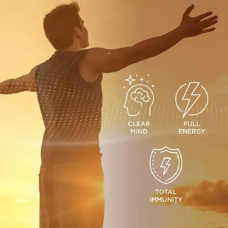 Shilajit Gummies Factory - Himalayan Lion's Mane Immune