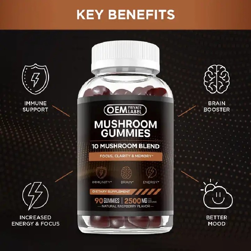 Shilajit Gummies Factory - Himalayan Lion's Mane Immune