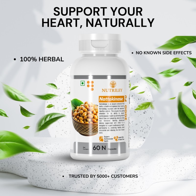 Nattokinase Capsules Factory - Heart Health Circulation
