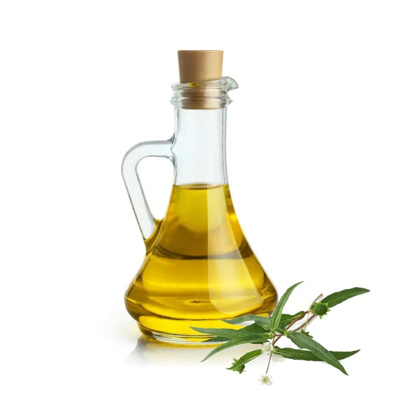 Bhringraj Oil Supplier - Ayurvedic Hair Regrowth Nourishment