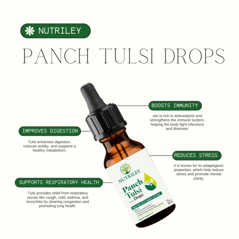 Ayurvedic Tulsi Drops Supplier - Panch Tulsi Immunity Boost