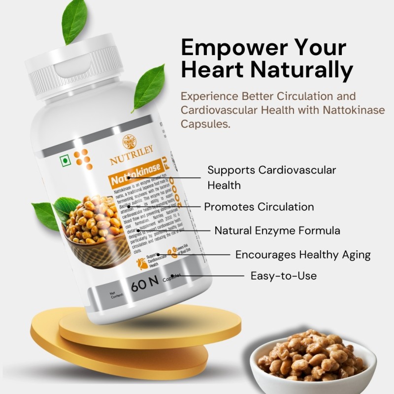 Nattokinase Capsules Factory - Heart Health Circulation