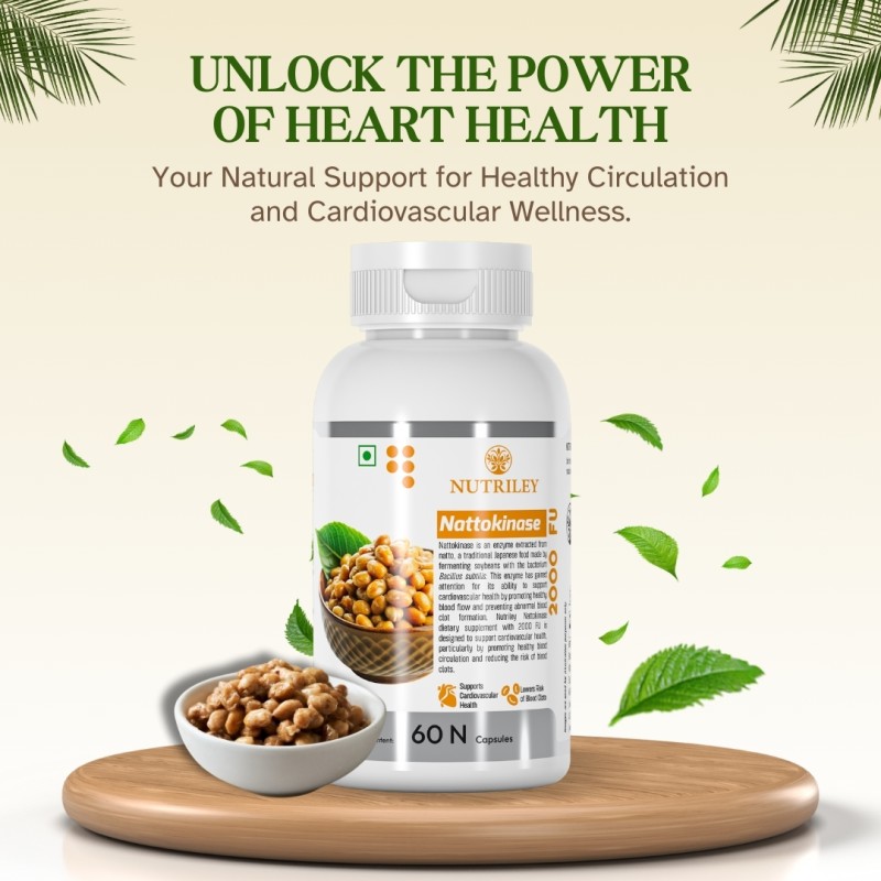 Nattokinase Capsules Factory - Heart Health Circulation