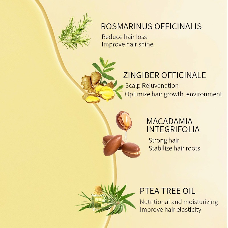 Rosemary Hair Oil Supplier - Essential Oil Growth Treatment