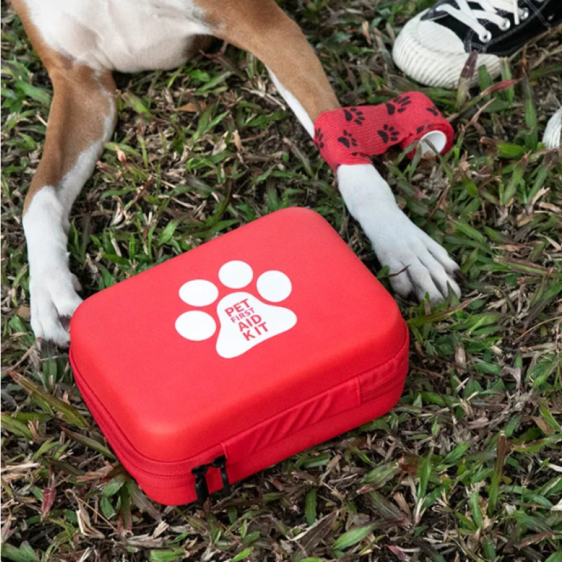 Pet First Aid Kit Factory - Wholesale EVA Bag for Dog Cat Outdoor Emergency