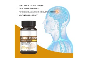 The "Focus Fuel" Revolution: How Lion's Mane Became the New Coffee for Gen Z