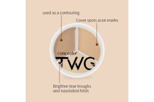 A Decade of OEM/ODM Expertise! Professional Manufacturer Becomes a New Game-Changer Partner for Global Beauty Brands with TWG 3-Color Concealer Palette