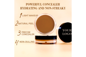Vegan Full-Coverage Concealer Cream OEM/ODM: End-to-End Services Help Beauty Brands Seize Market Opportunities