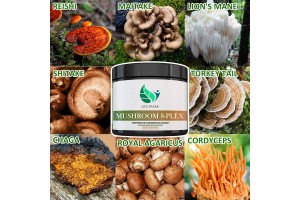 Professional Reishi Mushroom Complex Powder OEM/ODM: A Powerful Boost for Brands in the Immune Health Market