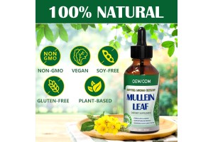Professional Mullein Leaf Drops OEM/ODM: Unlock New Opportunities in the Herbal Health Market