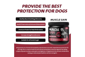 Global Demand for Canine Muscle Supplements Surges: Leading Factories Elevate OEM/ODM Services to Empower Brand Growth