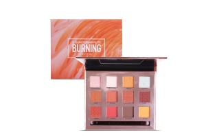Guangzhou Duoduo Cosmetics 12-Color Eyeshadow Palette: The Preferred Vegan & Cruelty-Free OEM/ODM Partner to Empower Beauty Brands' Rapid Growth