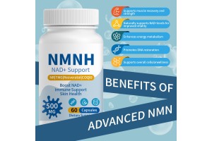 Kudo Pharma’s 5-in-1 NAD+ Supplement: Leading OEM/ODM Solutions for Global Health Brands in 2024