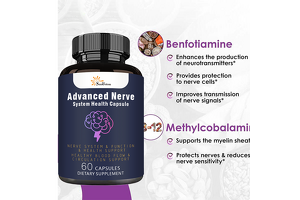 Seize the Nerve Health Boom! Beijing’s Premium Capsule OEM/ODM Service – Your Gateway to Dietary Supplement Success