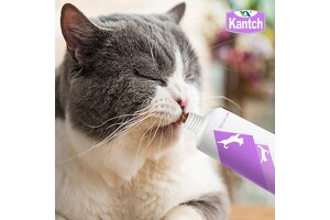 Elevate Your Pet Brand with Premium Cat Multivitamin Gel OEM/ODM – Sichuan Kangquan Bio Leads the Industry