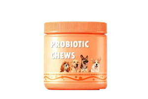 Professional Pet Probiotic Chews OEM/ODM: Biyouti Bio Empowers Brands to Tap into the Multi-Billion-Dollar Market