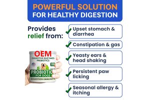 Elevate Your Pet Health Line with Premium Probiotic Soft Chews OEM/ODM: Capture the Booming Global Market