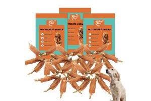 Qingdao Repet Food: A Leading OEM Manufacturer of High-Quality Pet Snacks, Empowering Global Pet Brands