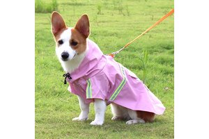 YALIDA Pet Raincoat: OEM/ODM Expertise Meets Aviation-Grade Standards, Redefining Pet Travel Gear