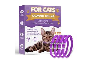 Professional Cat Calming Collar OEM Manufacturer: Ningbo Glantu Sets a New Benchmark for Pet Anxiety Solutions