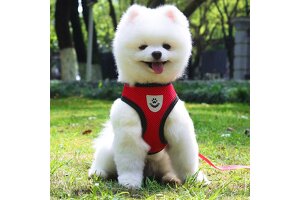 BAMING Pet Harness: Civil Aviation Administration-Certified Factory Strength Empowers ODM/OEM Cooperation in the Pet Travel Ecosystem