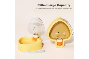 15-Year Silicone Industry Leader: Pet Foldable Water Bottle OEM/ODM Solutions, Blending Quality, Customization, and Efficiency