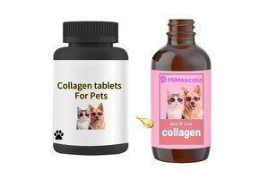 Professional Pet Collagen Chewable Tablets OEM/ODM: Furide Biotech Empowers Brands to Tap into the Blue Ocean Market