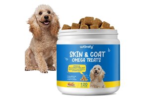 Elevate Your Pet Brand with Premium Salmon Oil Soft Chew OEM/ODM: Seize the Booming Pet Health Market