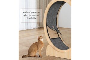 UlinkC Cat Treadmill: Your Trusted OEM/ODM Partner for Premium Pet Exercise Equipment, Powered by Shandong’s Industry Leader