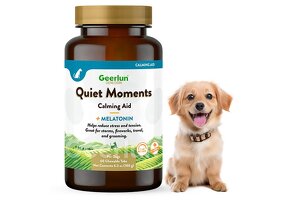 Geerlun Pet Calming Aid: Premium OEM/ODM Solution for Stress Relief, Empowering Pet Brands Worldwide