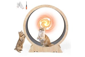 UlinkC Cat Treadmill: Leading OEM/ODM Solution for Pet Exercise Gear, Crafted by Shandong’s Trusted Factory