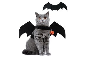 ULinkC Halloween Bat Wing Pet Collar: Elevate Your Brand with Top-Tier OEM/ODM Pet Accessories