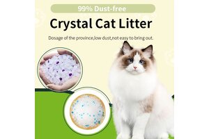 Elevate Pet Brand Success! Hebei Chico Crystal Cat Litter OEM/ODM: Your Trusted Partner for Industry-Leading Solutions