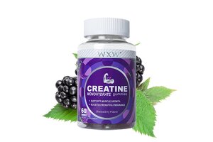 How Pharmaceutical-Grade OEM Factories and Private Label Customization are Fueling the Next Growth Engine for Sports Nutrition Brands