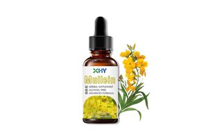 How Henan Xinhongyan Biotechnology Empowers Brands with One-Stop Services to Dominate the Lung Support Niche