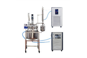 Enhancing Precision and Efficiency in Production: Zhengzhou Rhino Bio-Tech Unveils 100L SS304 Jacketed Reactor with Automated pH Control