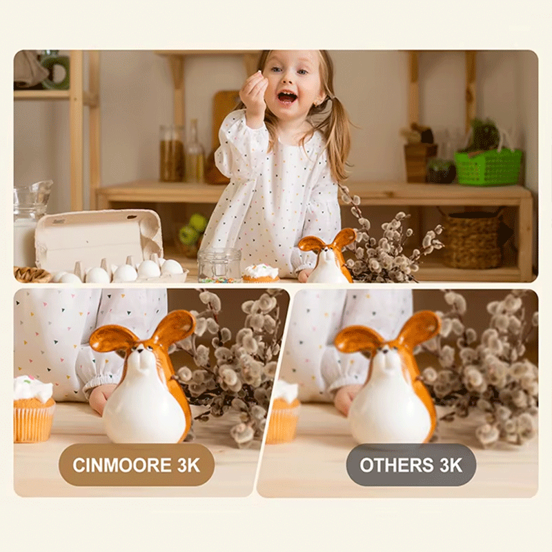 Indoor Security Camera