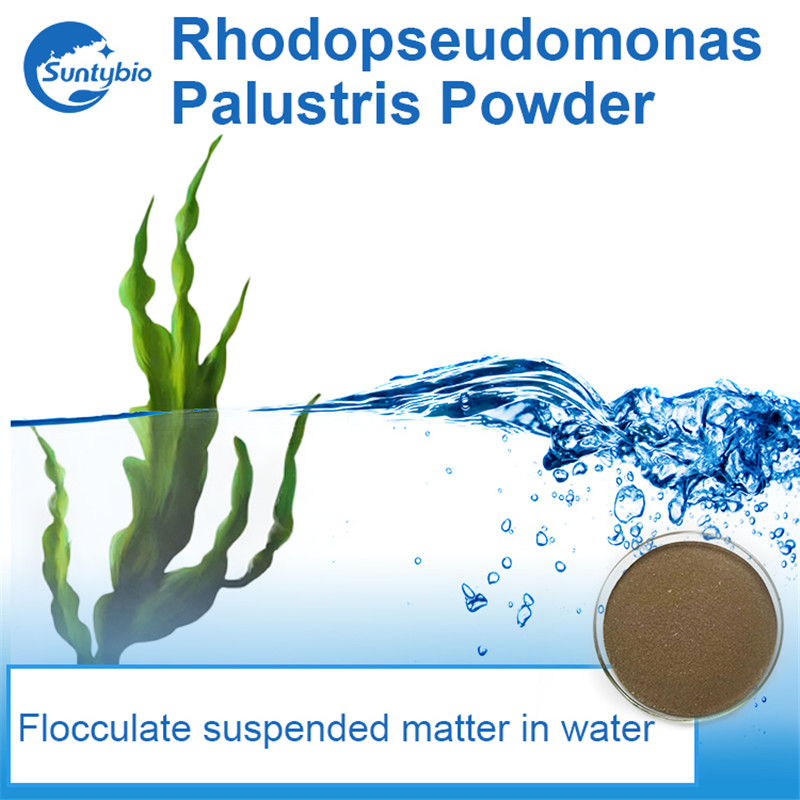 Probiotic series products