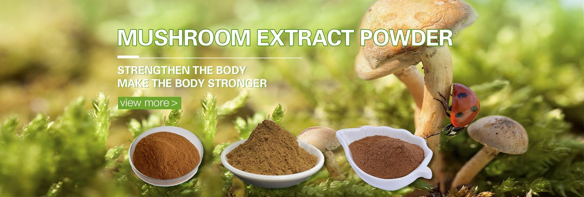 Shaanxi Honghao Bio-Tech Co., Ltd.