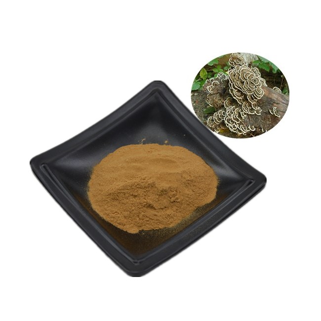 Mushroom Extract