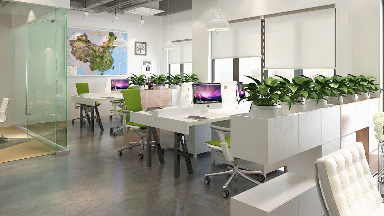 Supplier Album Image