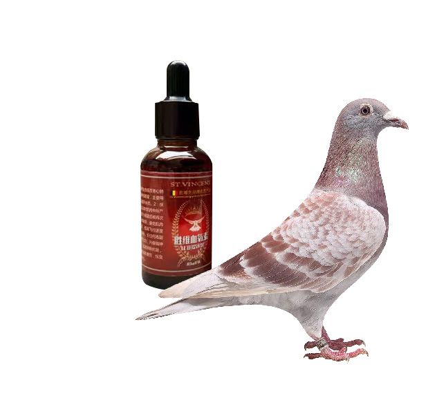 pet nutrition supplement