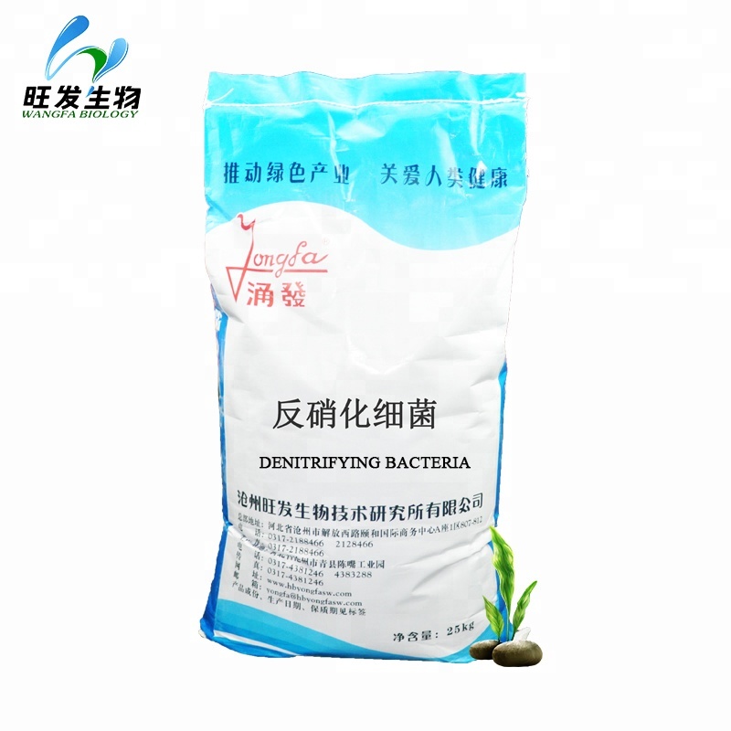 Probiotics for treating environment