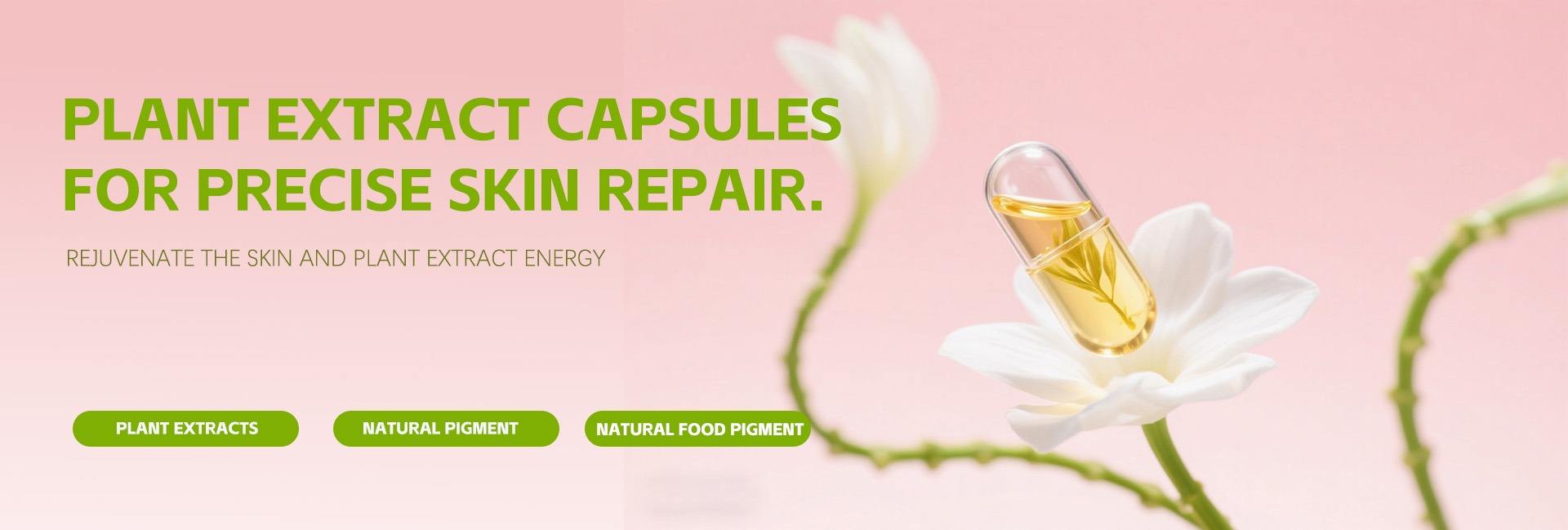 Biospark (Xi'an) Biotechnology Co., Ltd.